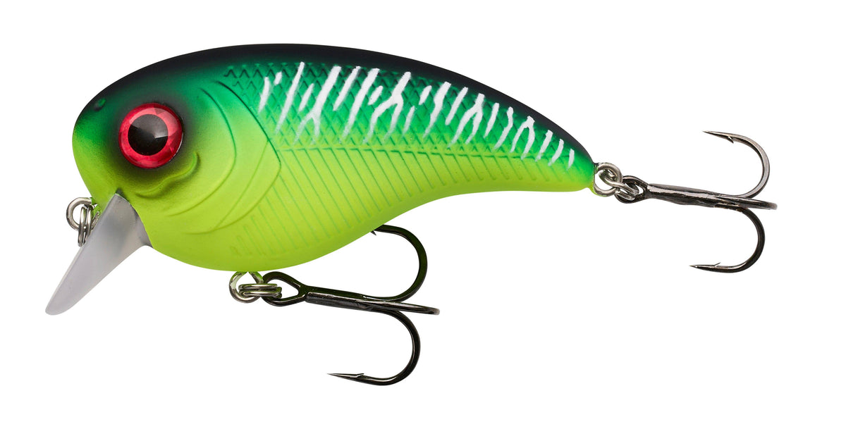 Leurre Cuillère Abu Garcia Salmon Seeker 2.0 – Pour Saumon, Truite Et Truite De Mer, Couleurs Populaires